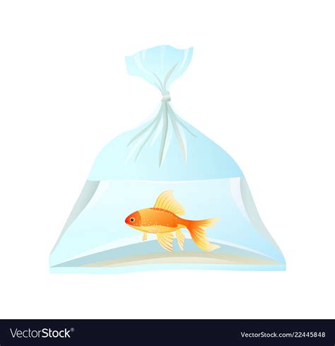 Goldfish Swim In Plastic Bag Tied With Rope Vector Image