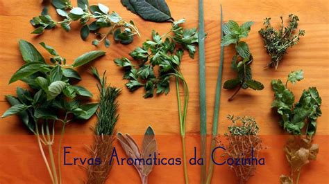 Conheça todas ervas aromáticas da cozinha YouTube