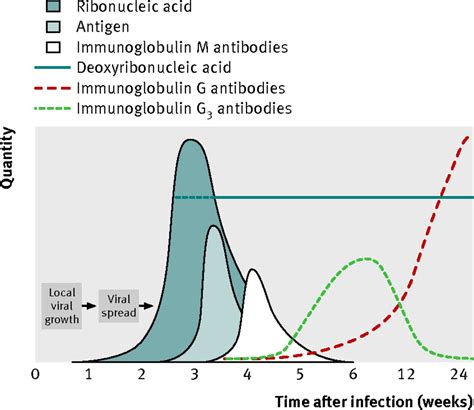 Hiv Testing And Management Of Newly Diagnosed Hiv The Bmj