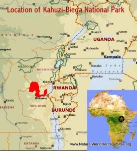 Kahuzi-Biega National Park | Natural World Heritage Sites