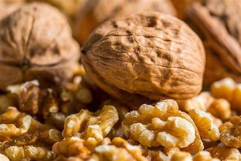 Regular Walnut Consumption Linked To Greater Longevity Reduced Death