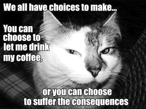 Funny Coffee Quotes Choose To Let Me Drink My Coffee