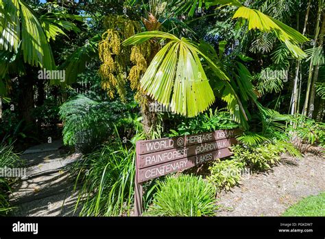 Sign to the Rainforest Boardwalk, Cairns Botanic Gardens, Edge Hill ...