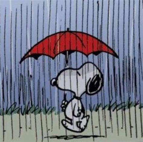 Pin By Katlynn Bond On Snoopy Any Season Snoopy Images Snoopy Love Snoopy Quotes