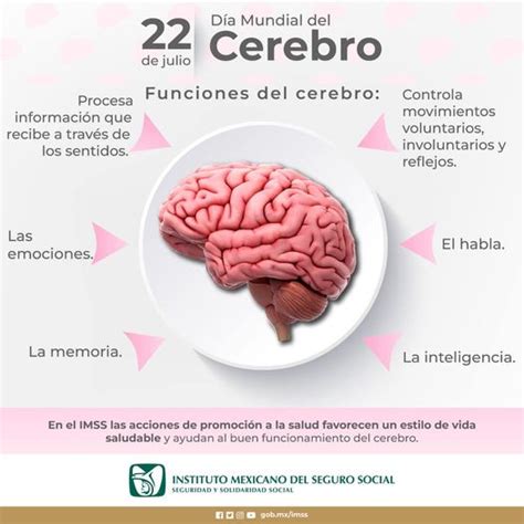 15 de Julio Día Mundial del Cerebro Secretaría de Previsión Social