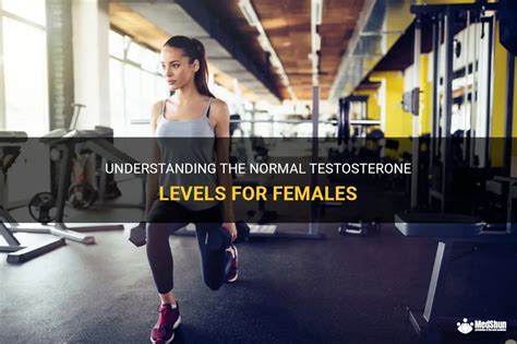 Understanding The Normal Testosterone Levels For Females Medshun