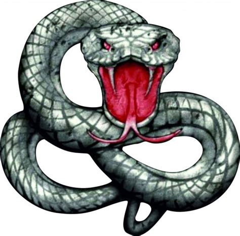 Змея наклейка (50 фото) » Рисунки для срисовки и не только