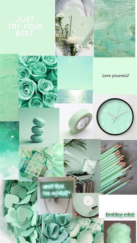 Photo Aesthetic Vintage Vert Aesthetic Vert Pastel Vintage Novocom