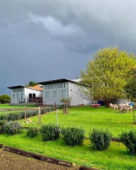 Gutsy Kangaroo Island Springs Road Wines