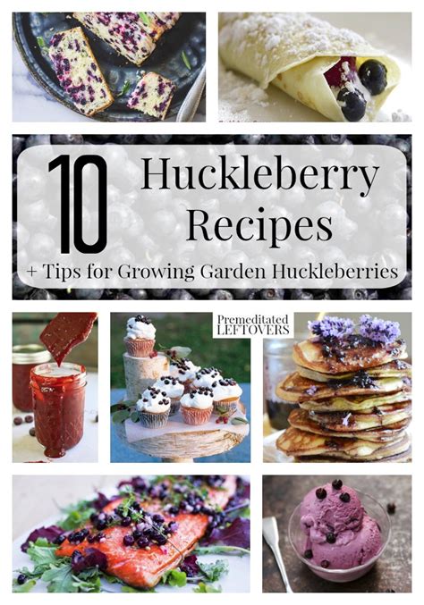 10 Awesome Huckleberry Recipes