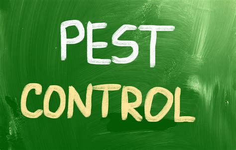 Pest Control Lawrenceville - Proactive Pest Control
