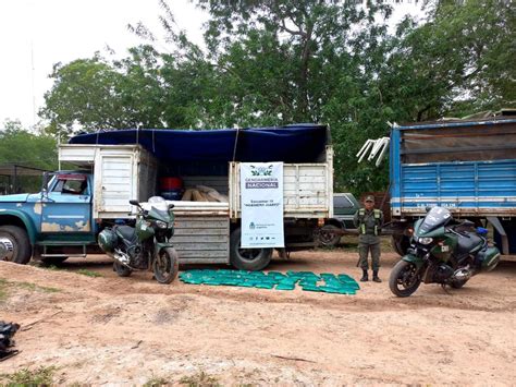 Gendarmer A Secuestr Kilos De Hojas De Coca En Tres Procedimientos