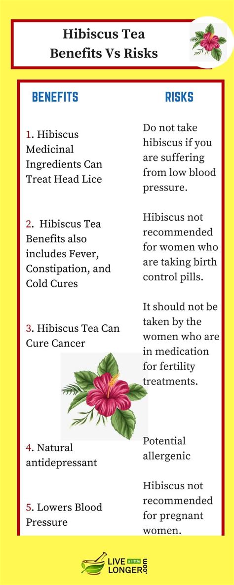 7 Scientifically Proven Health Benefits Of Hibiscus Flower Lll Care