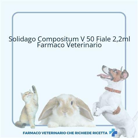 Solidago Compositum V 50 Fiale 2 2ml Medicinale Veterinario Vendita