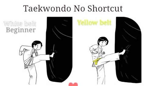 Taekwondo I Had Yellow But Then I Stopped Funny