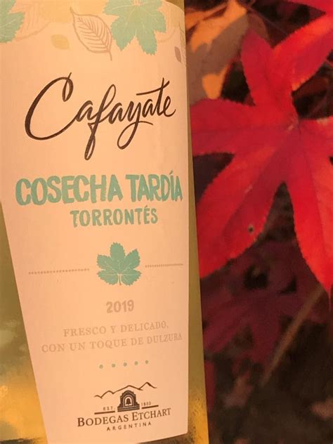 El ángel del vino Blog de vinos Cafayate Torrontés Cosecha Tardía