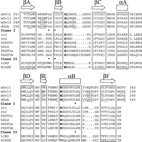 Structure Based Alignment Of The Amino Acid Sequences Of The Pdz