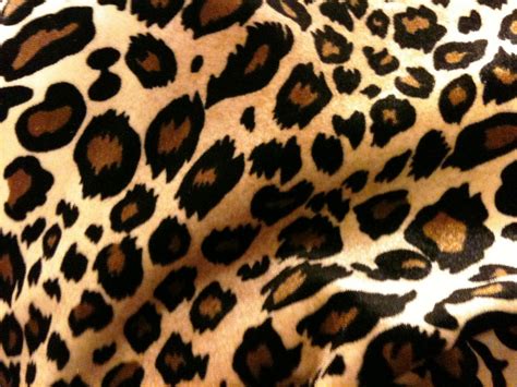 Cute Cheetah Print Backgrounds - Viewing Gallery