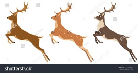 Jumping Deer Your Design Red Deer Stock Vector Royalty Free 1329265061 Shutterstock