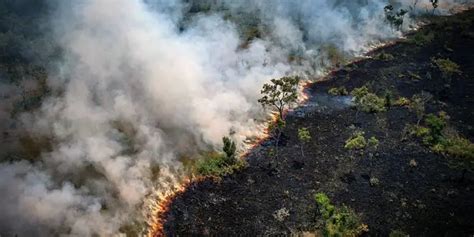 Acidentes Ambientais No Brasil Estudos De Caso Mundo Ecologia