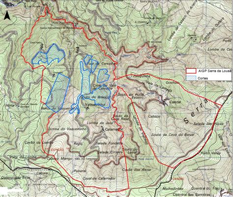 Corte Raso De Rvores Na Serra Da Lous Ainda Sem Solu O Trevim