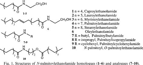 Figure 1 From Analogues And Homologues Of N Palmitoylethanolamide A