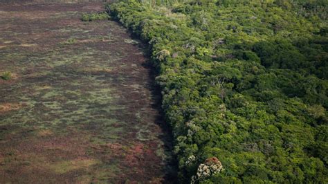 Sede da Cúpula da Amazônia Pará é o Estado que mais desmata