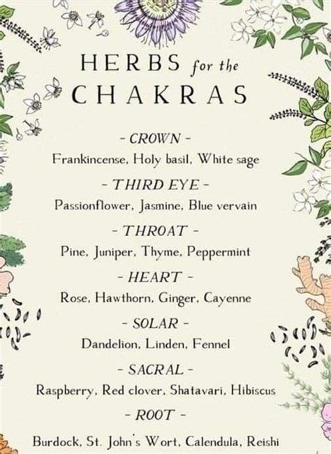 Pin by Kalynn Martinez on Healing herbs | Magic herbs, Herbal healing ...