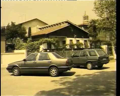 Sexy Life Stockings Blowjob Porn Feat Dina Pearl By Faphouse Xhamster