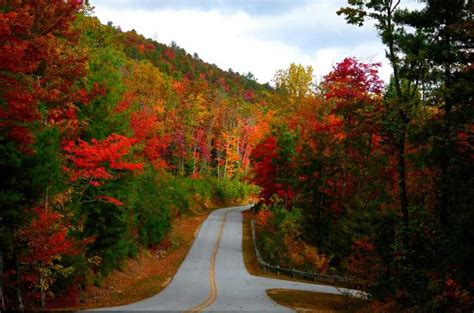 WeatherBug Photos | National weather, Country roads, Weather forecast