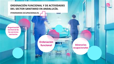 OrdenaciÓn Funcional Y De Actividades Del Sector Sanitario En AndalucÍa