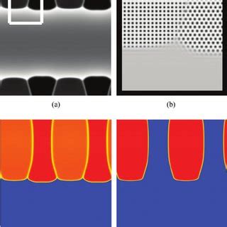 Color Online Simulation Snapshots At T 10 000 Of Peritectic