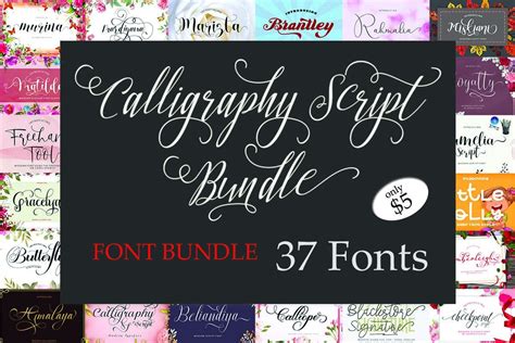 Calligraphy Script Font Bundle Bundle · Creative Fabrica