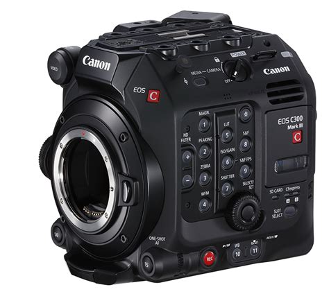 Netflix-Approved Canon Cinema EOS Cameras: An Introduction