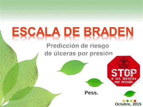 Escala De BRADEN Consejo De Salubridad General Problemas De Salud