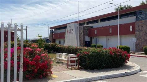 Diario Del Yaqui Se Normalizan Las Clases En La Universidad Estatal