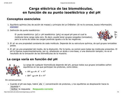 Carga De Las Biomol Culas Jose Morales Udocz