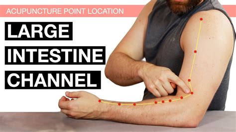 Acupuncture Point Location The Large Intestine Channel Large