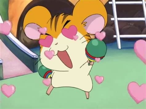 Come On Stan The Hamtaro Wiki Fandom