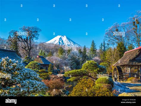 Fuji garden hi-res stock photography and images - Alamy