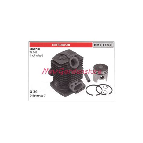 Segments De Cylindre De Piston MITSUBISHI Moteur De Taille Haie TL