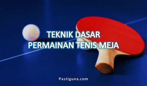 Teknik Dasar Permainan Tenis Meja Beserta Gambar dan Penjelasannya