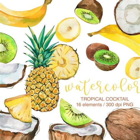 Summer Clipart Watercolor Tropical Fruit Clipart Fruit Etsy