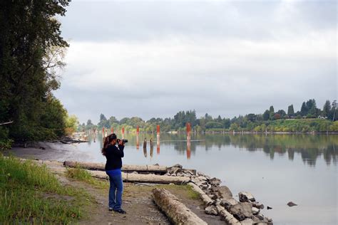 Langley - The BC Bird Trail - Look Up, Stay Grounded