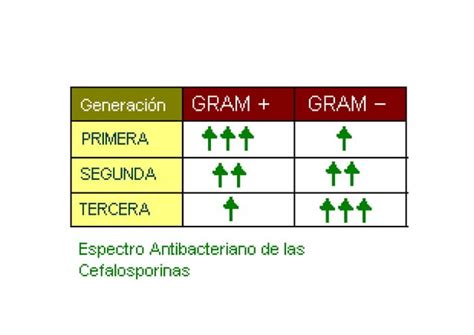 CEFALOSPORINAS OTROS ANTIBIÓTICOS B LACTÁMICOS Mapa conceptual docx