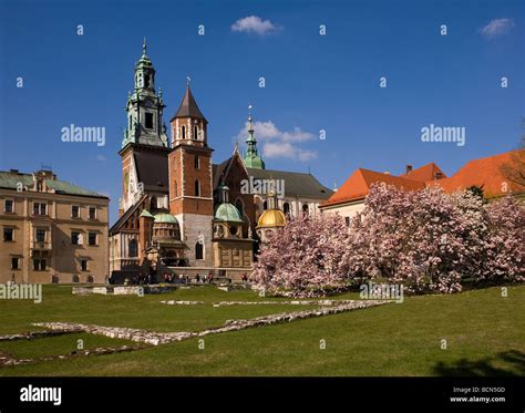 Polen Krakau Wawel Sigismund S Cathedral Und Kapelle Als Teil Des