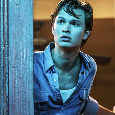Ansel Elgort Concert & Tour History | Concert Archives