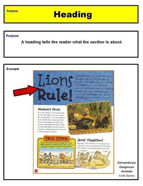 15 best Book report poster images on Pinterest | Teaching ideas, School ...