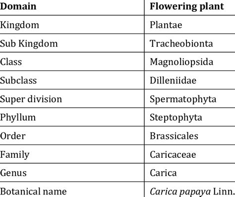 Botanical Garden Plants Names At Christian Molina Blog