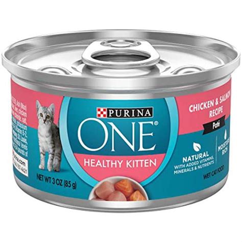 12 Best Kitten Wet Food Options Your Cat will Love I Discerning Cat